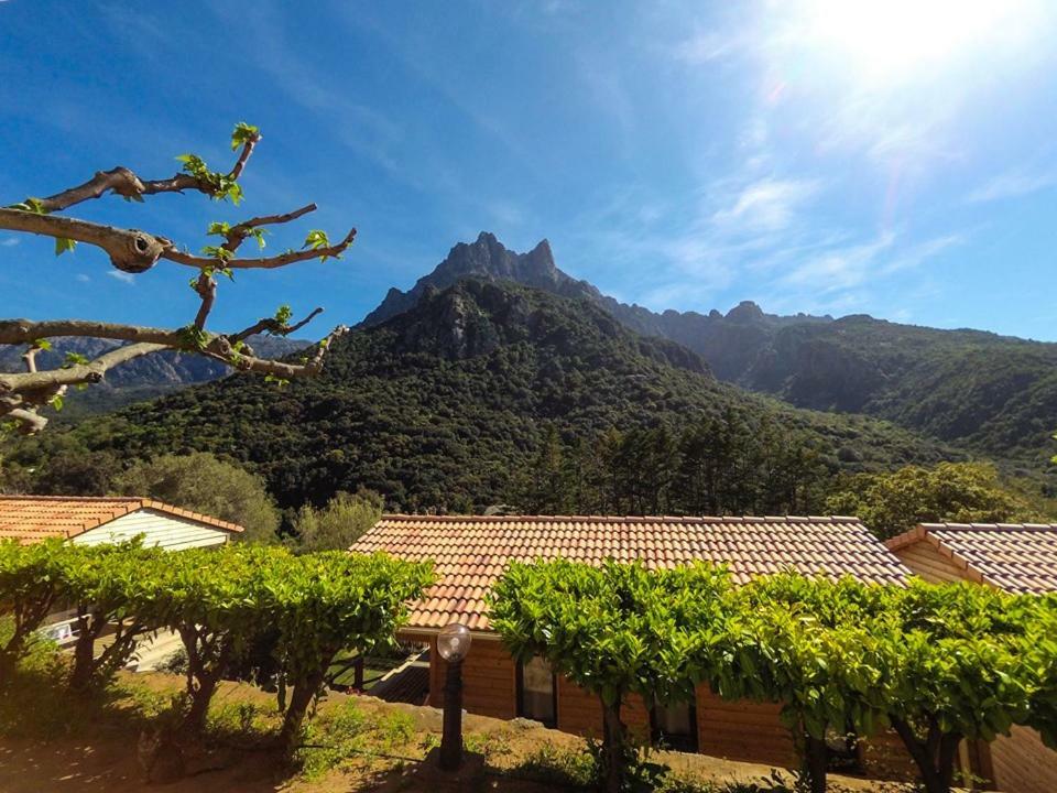 Camping Les Oliviers Porto (Corsica) Exterior foto